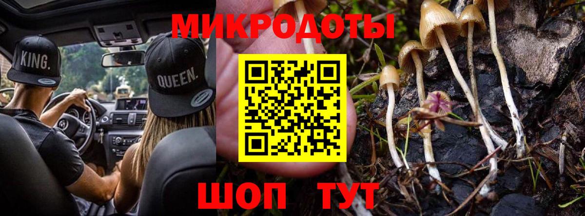 Галлюциногенные грибы GOLDEN TEACHER  Вход с VPN  Галлюциногенные грибы Magic Shrooms  Волжск 